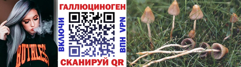 Псилоцибиновые грибы прущие грибы  Бийск 